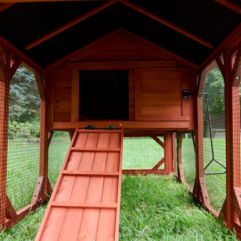 Chicken Coop for 6 Chickens – Orpington Lodge (Hen House Only) image 6