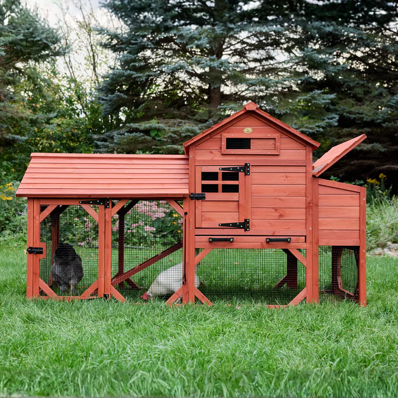 Chicken Coop for 6 Chickens – Orpington Lodge (Hen House Only)