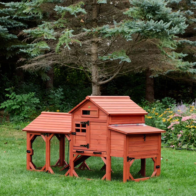 Chicken Coop for 6 Chickens – Orpington Lodge (Hen House Only) image 2