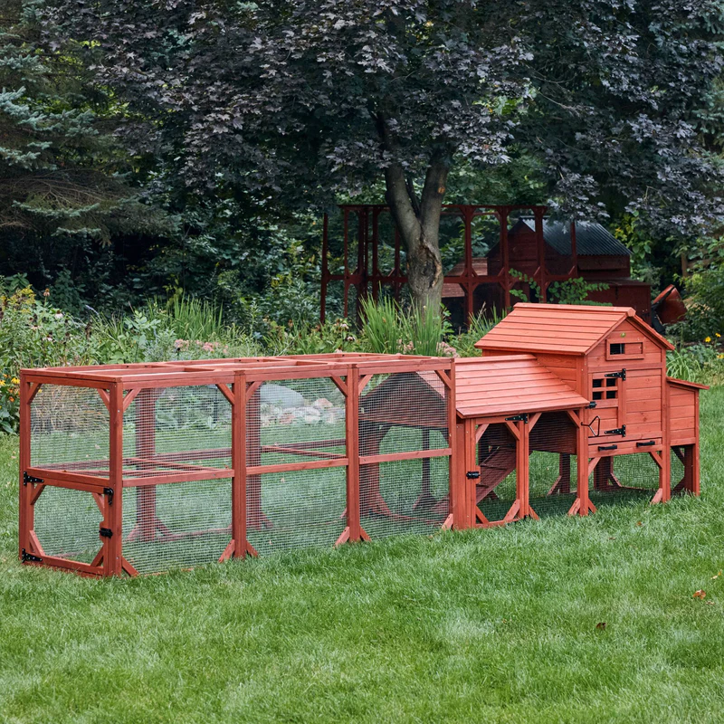 Chicken Coop for 6 Chickens – Orpington Lodge (Hen House Only) image 3