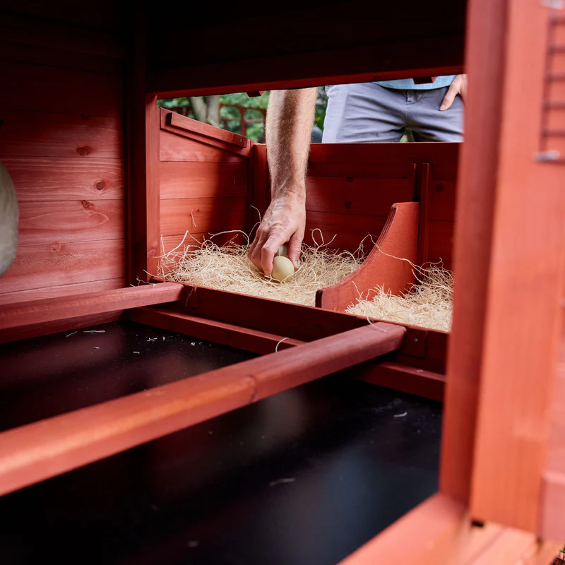 Chicken Coop for 6 Chickens – Orpington Lodge (Hen House Only) image 5